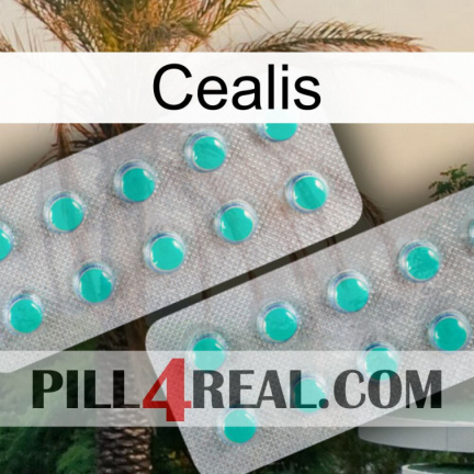 Cealis 29